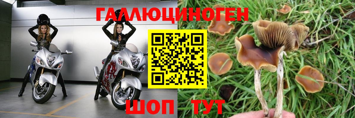 Псилоцибиновые грибы мухоморы Старый Оскол